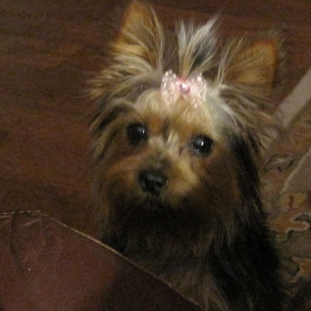 Meet your Posher, Kathy